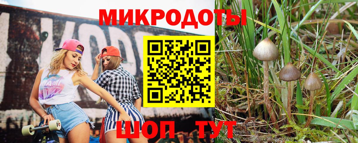 Галлюциногенные грибы Magic Shrooms  Вход с VPN  Благовещенск 